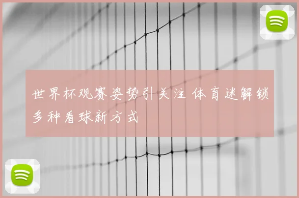 世界杯观赛姿势引关注 体育迷解锁多种看球新方式