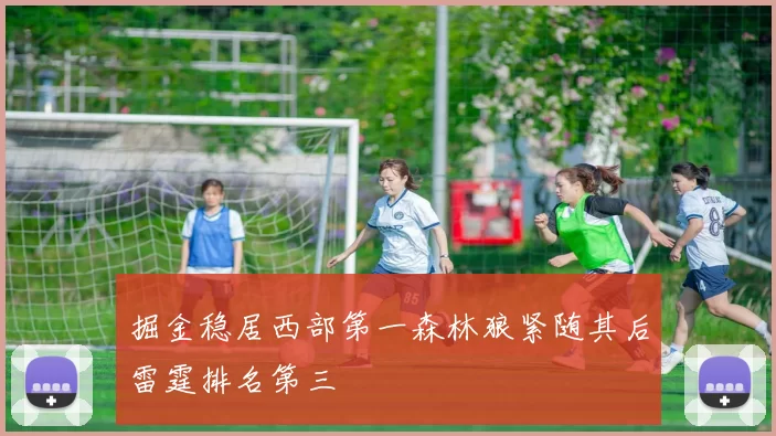 掘金稳居西部第一森林狼紧随其后雷霆排名第三