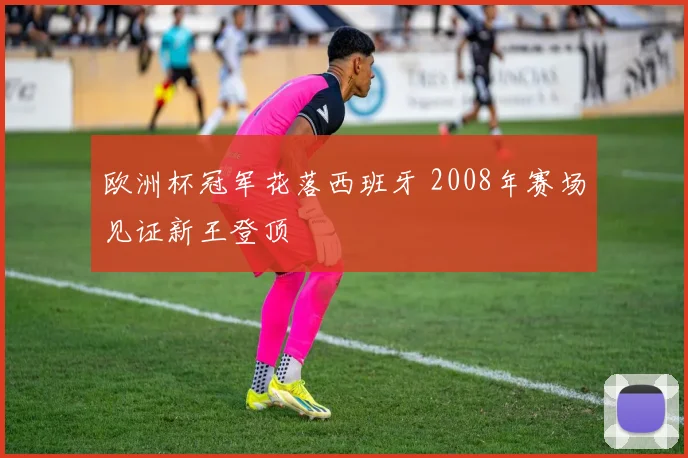 欧洲杯冠军花落西班牙 2008年赛场见证新王登顶